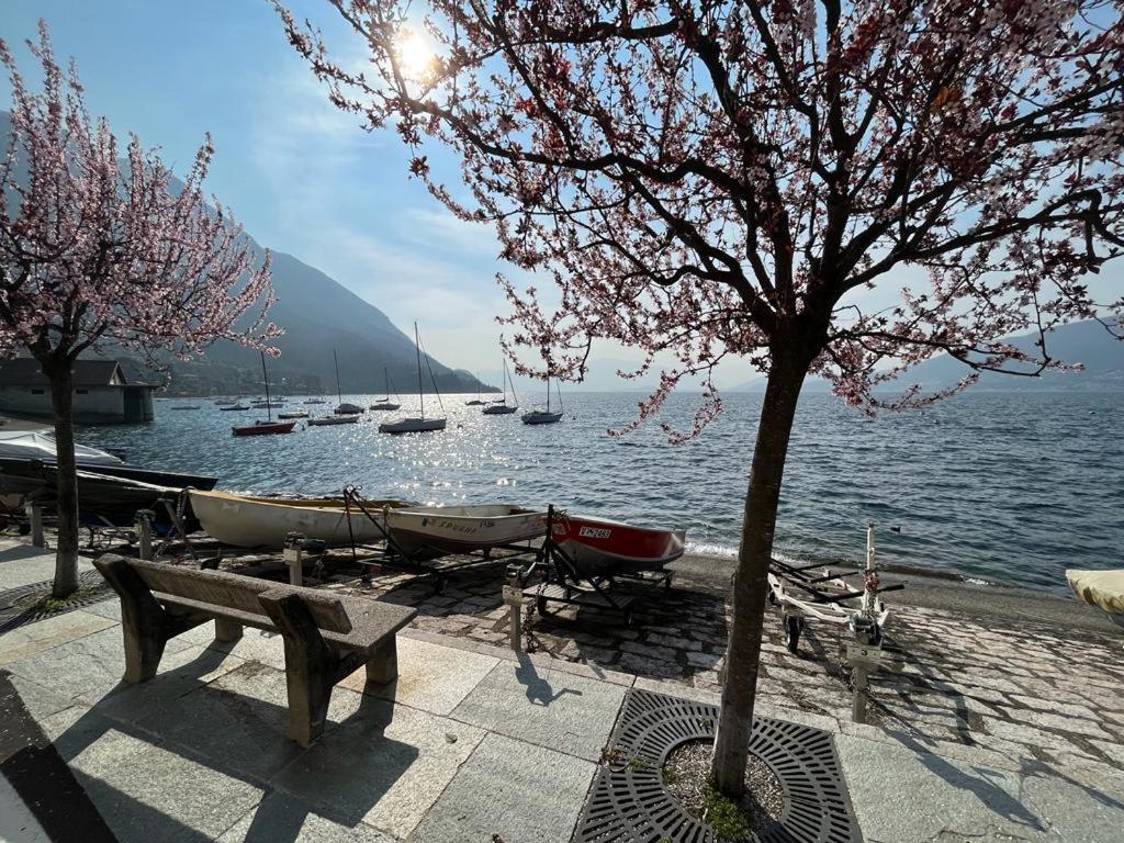 Il Sole Di Calde Lago Maggiore 504 Castelveccana Екстер'єр фото