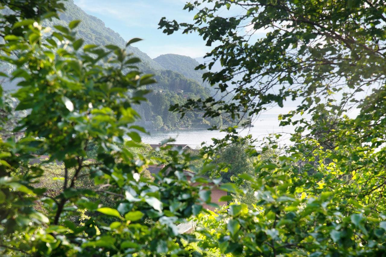 Il Sole Di Calde Lago Maggiore 504 Castelveccana Екстер'єр фото